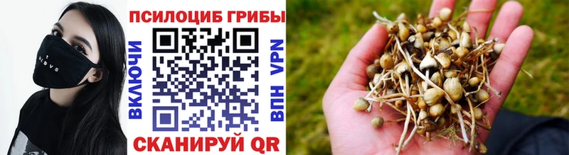 Галлюциногенные грибы мухоморы  площадка какой сайт  Чудово 